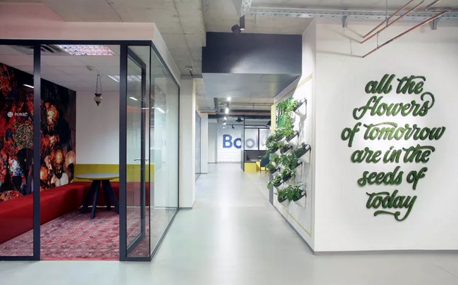 浦東水蜜桃下载公司